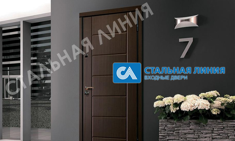 Entrance doors Steel line - user reviews and opinions