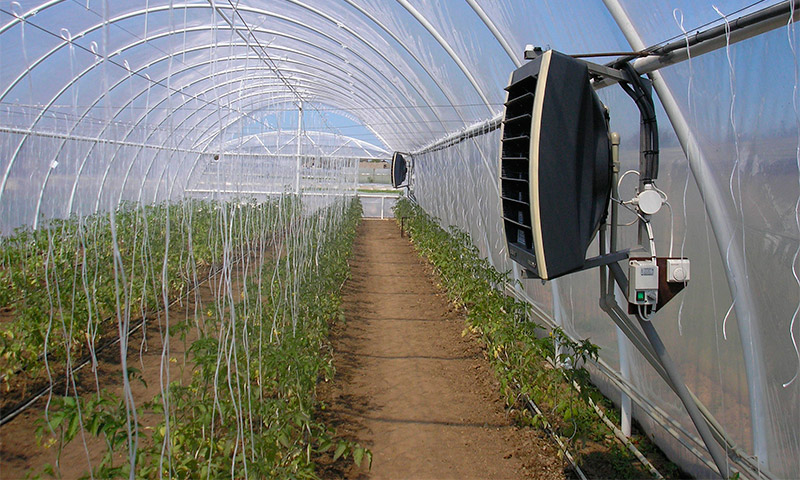 Грејање стаклене баште са инфрацрвеним грејачем - прегледи и препоручљивост