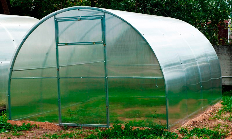 Greenhouse Agrosfera - ulasan penduduk musim panas dan cadangan mereka