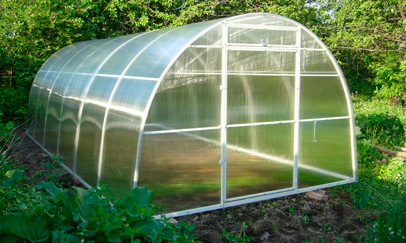 Greenhouse Kama - ulasan dan pendapat penanam sayur