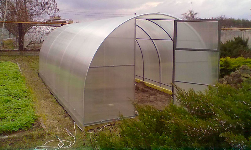 Greenhouse Siberian AutoIntelligence - recenze pěstitelů zeleniny