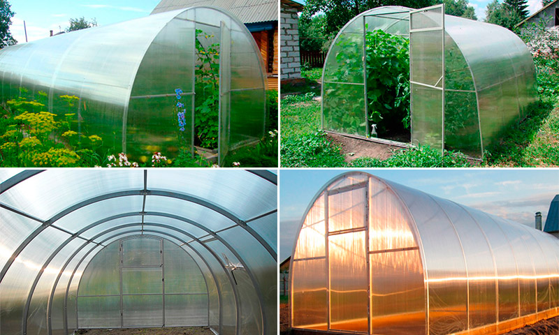 Greenhouse GreenBox - ulasan dan penarafan penduduk musim panas untuk kegunaannya