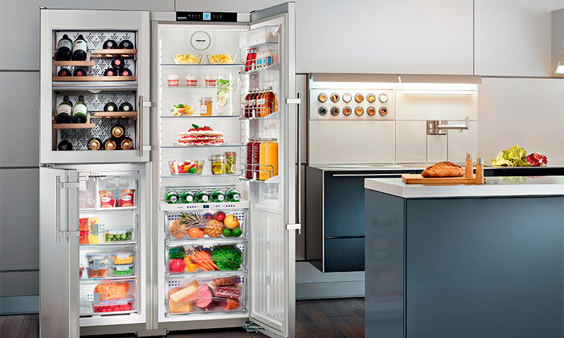 Types and types of refrigerators for home use